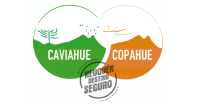 Municipalidad de Caviahue-Copahue